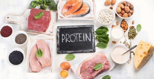 Protein Essentials - Lean Meats, Eggs, and Plant Sources for Muscle and Health